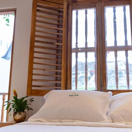 Blue House Castillo View Private Jacuzzi & Colonial Balconies Holiday home *